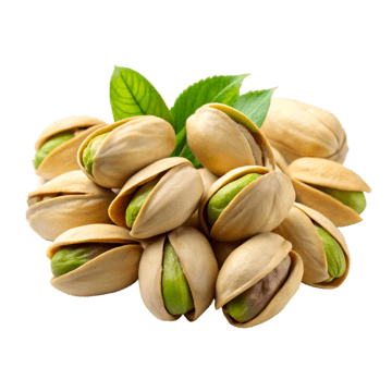 فستق حلبي